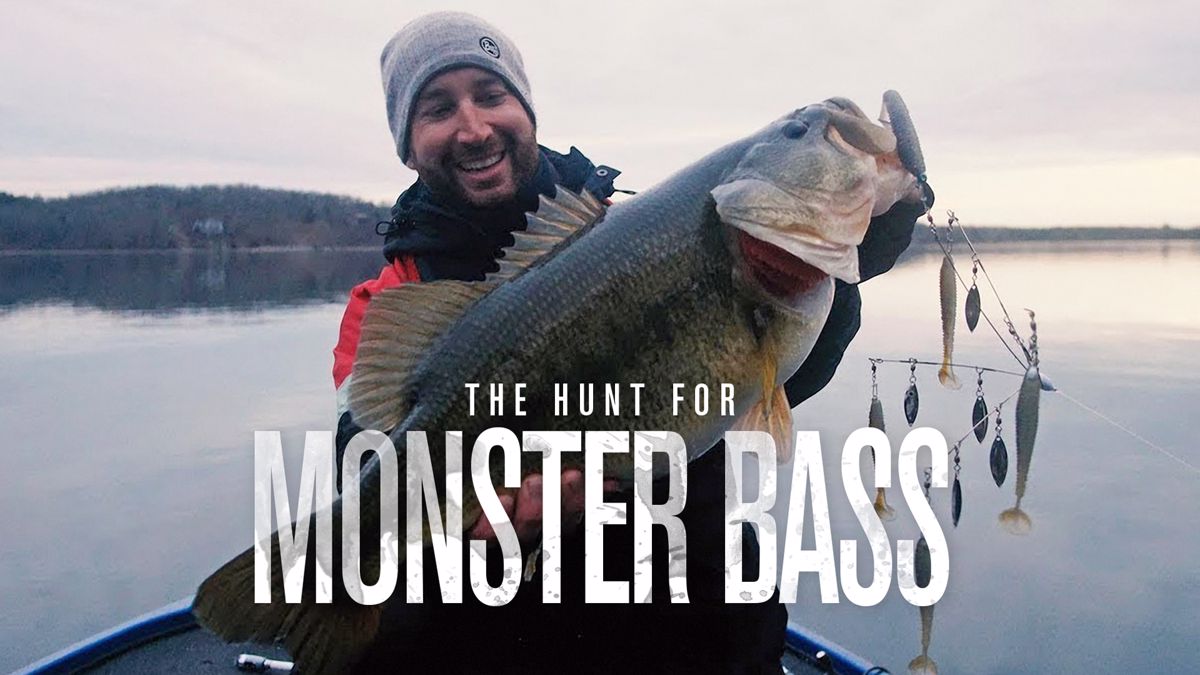 Watch The Hunt For Monster Bass Online: Free Streaming & Catch Up TV in  Australia
