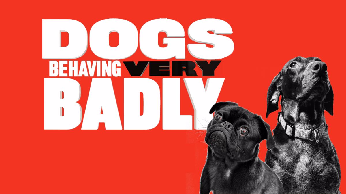 Dogs Behaving (Very) Badly | 7plus