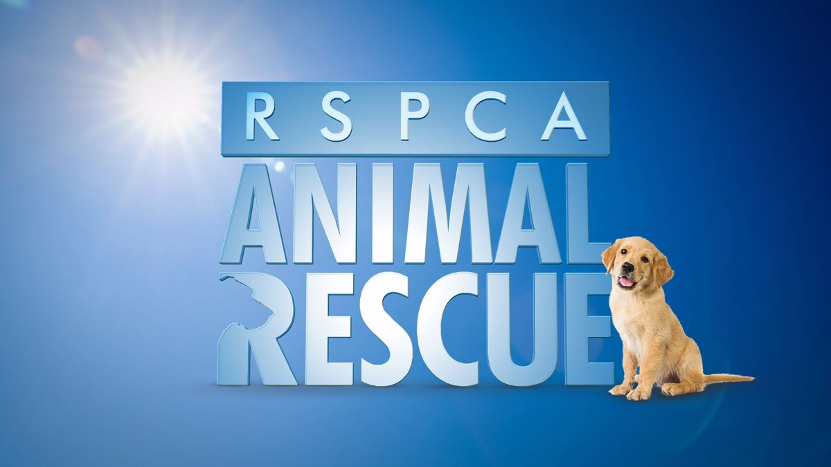 RSPCA Animal Rescue | 7plus