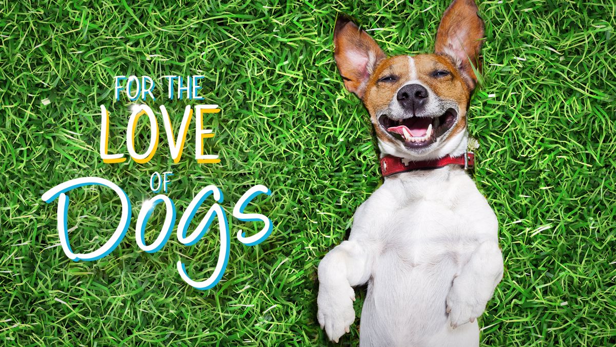 Watch For The Love Of Dogs Online Free Streaming & Catch Up TV in