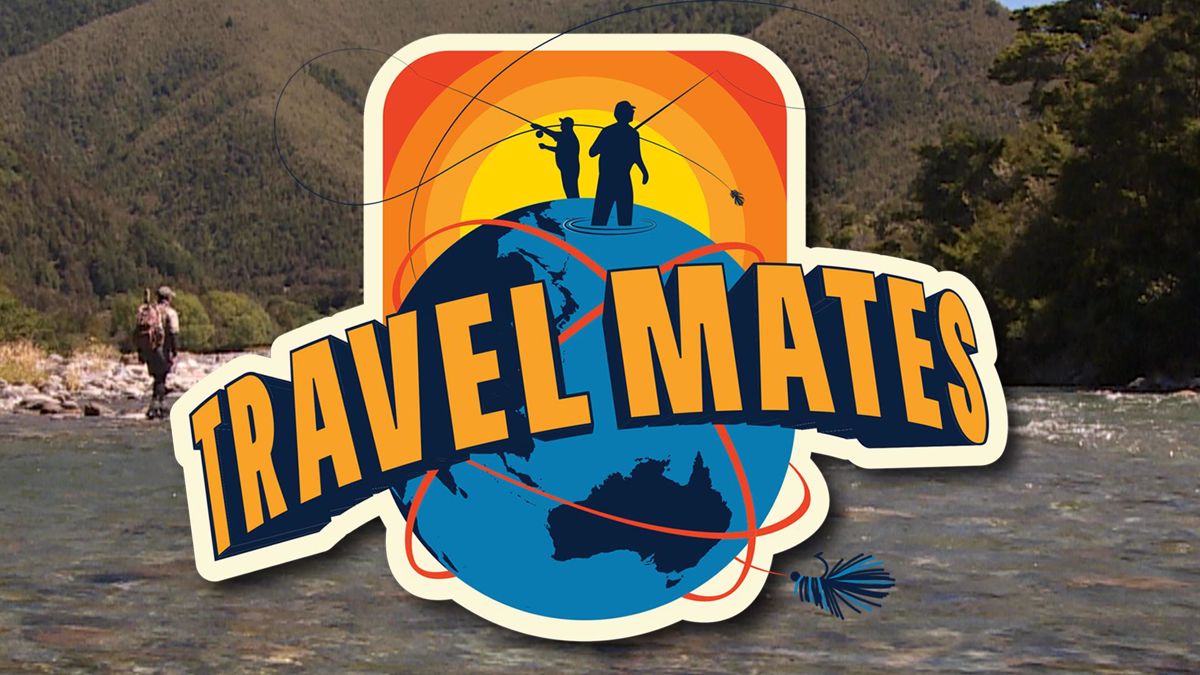 discover travel mates app
