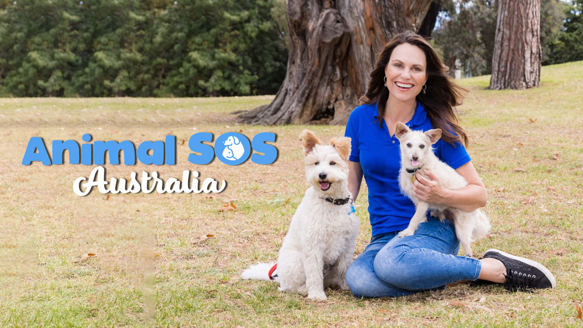 Watch Animal SOS Australia Online: Free Streaming & Catch Up TV in ...