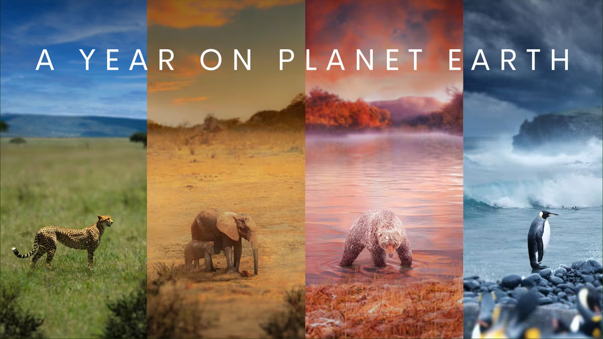 Watch A Year On Planet Earth Online Free Streaming Catch Up TV In watch-a-year-on-planet-earth-online-free-streaming-catch-up-tv-in